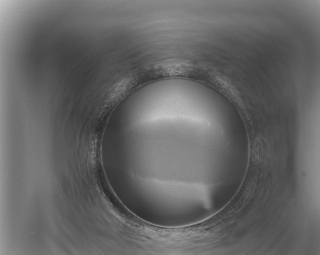 X0000059230018200510211548