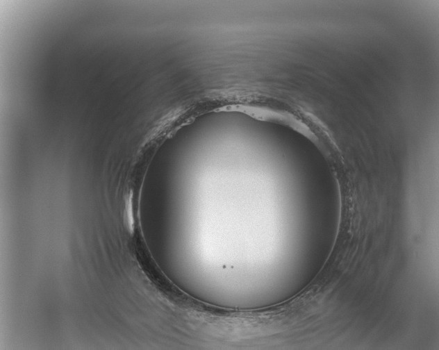 X0000059230020200510211548