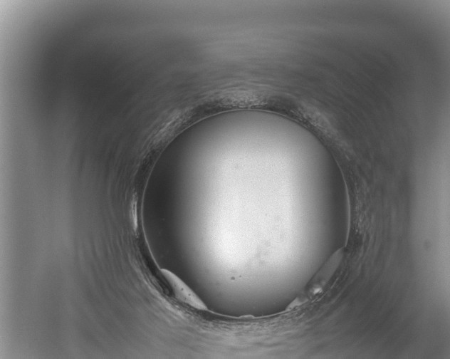 X0000059230021200510211548