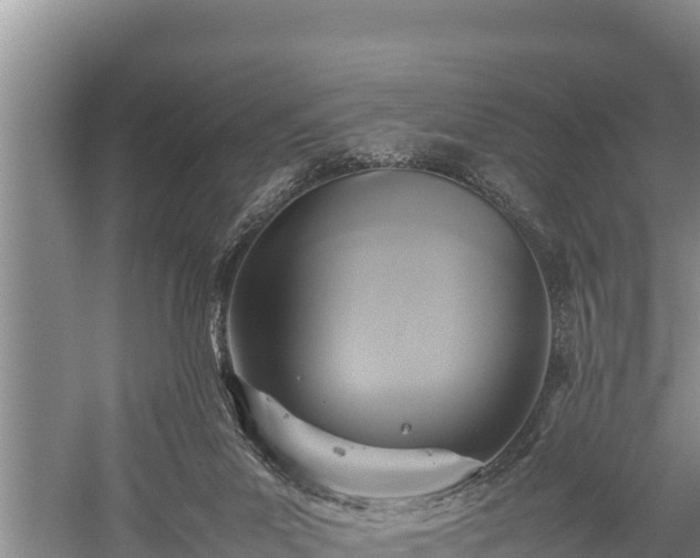 X0000059230023200510211548