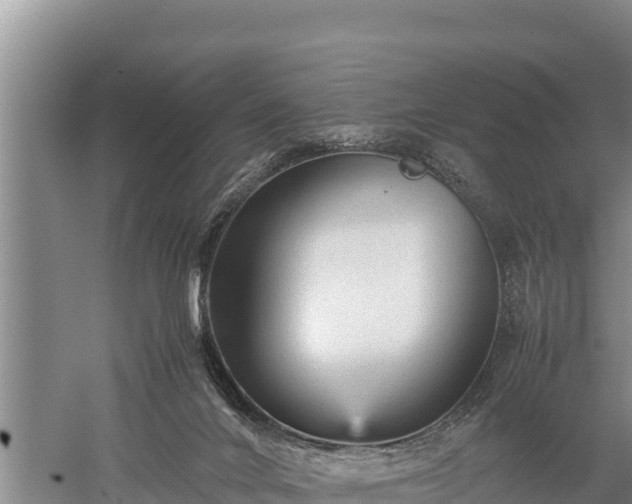 X0000059230024200510211548