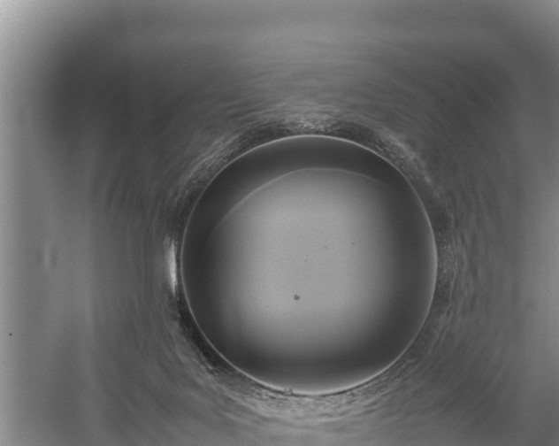 X0000059230027200510211548