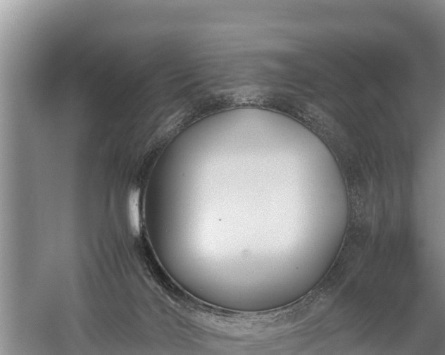 X0000059230028200510211548