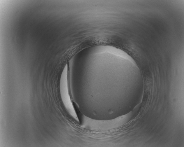 X0000059230029200510211548