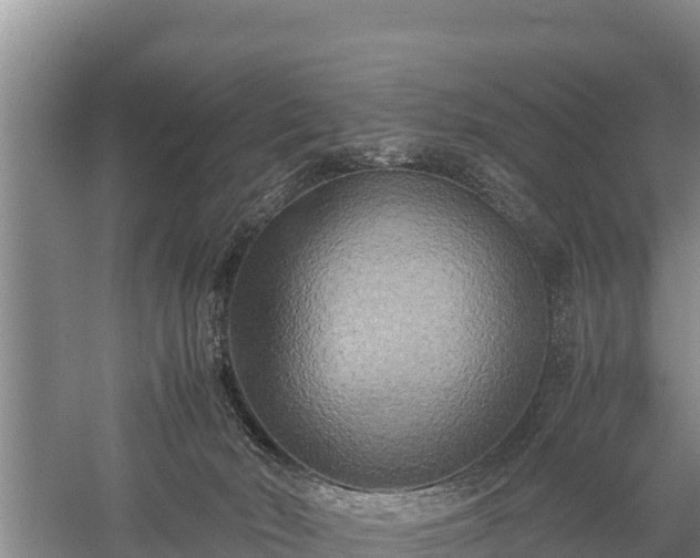 X0000059230030200510211548