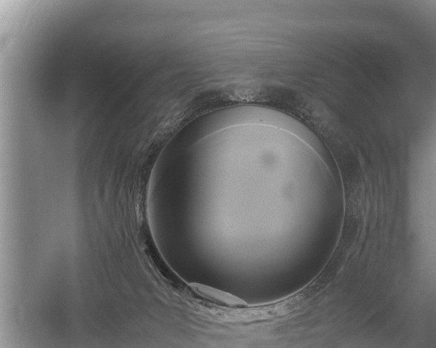 X0000059230031200510211548