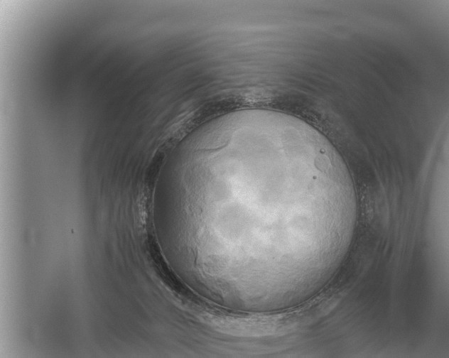 X0000059230032200510211548