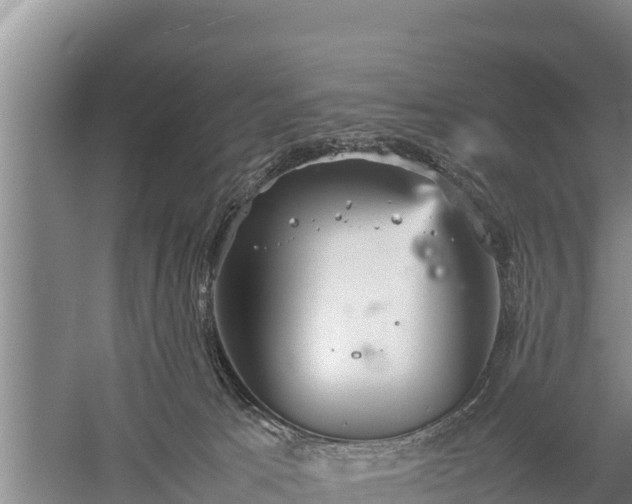 X0000059230033200510211548