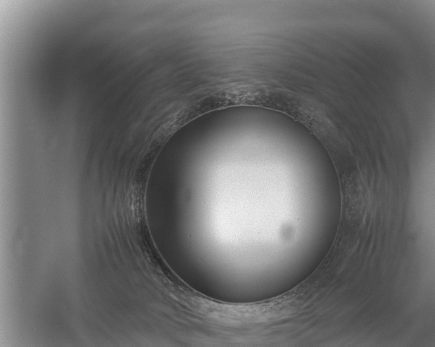 X0000059230034200510211548