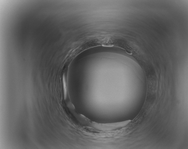 X0000059230035200510211548