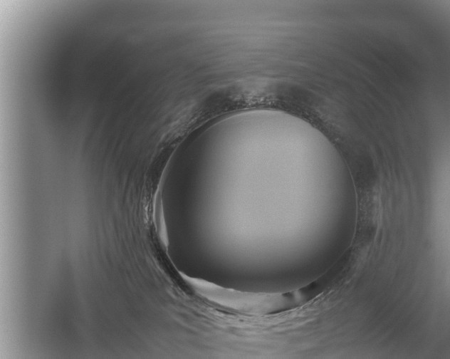 X0000059230039200510211547