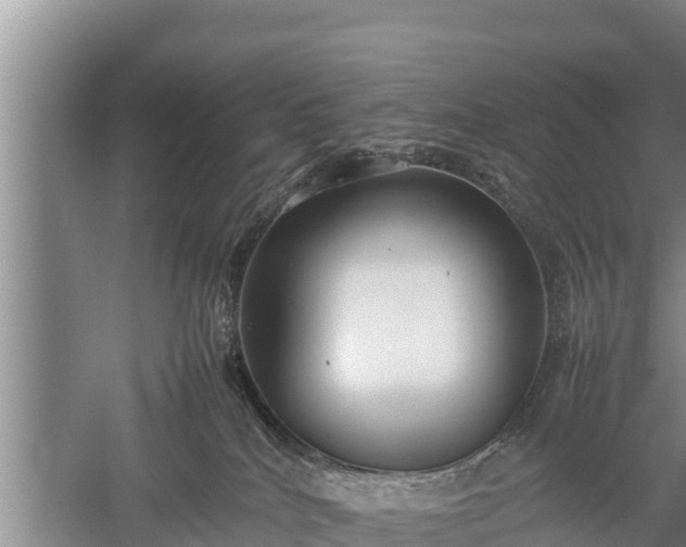 X0000059230040200510211547