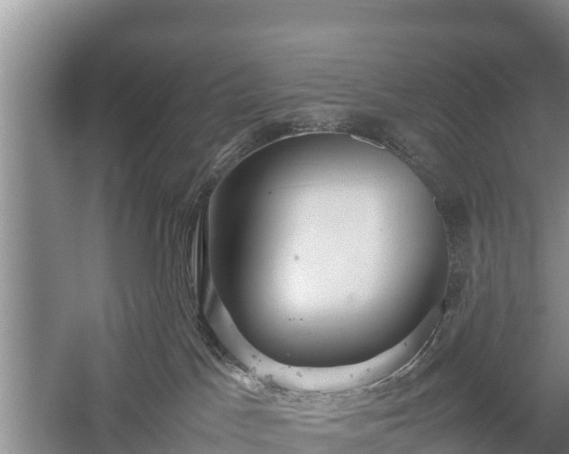 X0000059230045200510211547