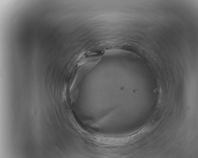 X0000059230048200510211547