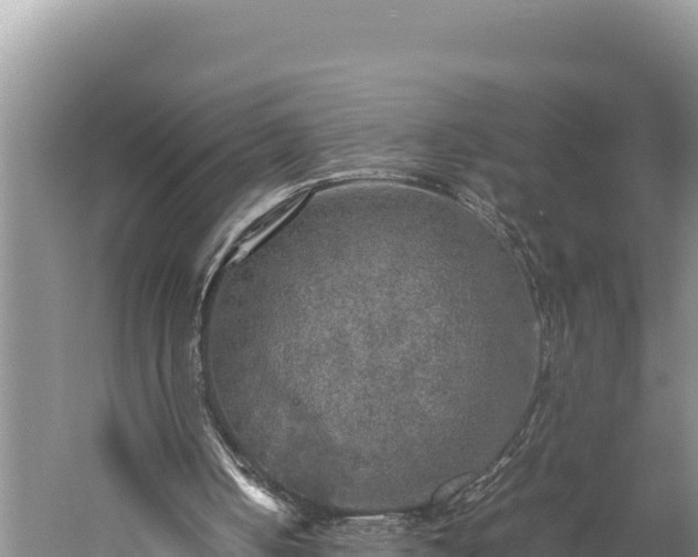 X0000059230050200510211547