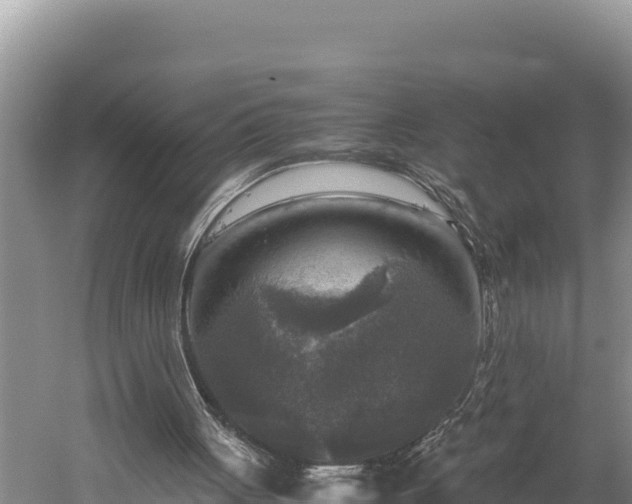 X0000059230051200510211547