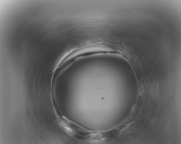 X0000059230052200510211547