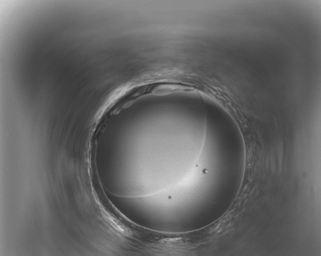 X0000059230054200510211547