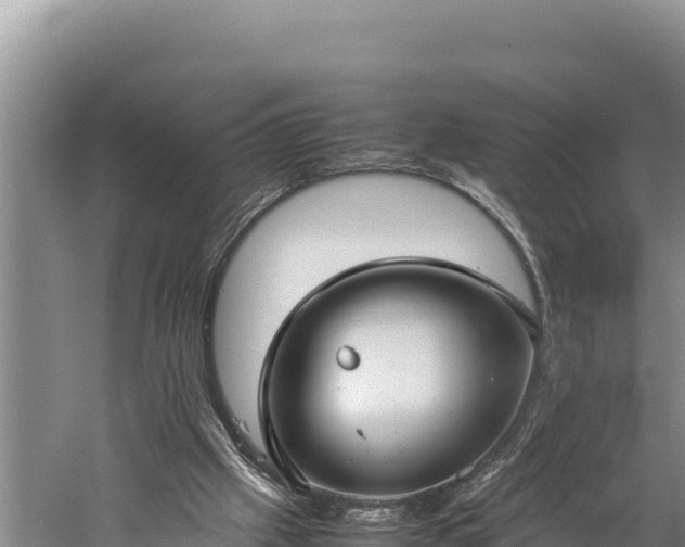 X0000059230057200510211547