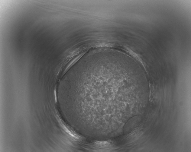 X0000059230061200510211547