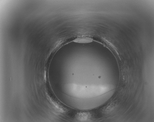 X0000059230067200510211547