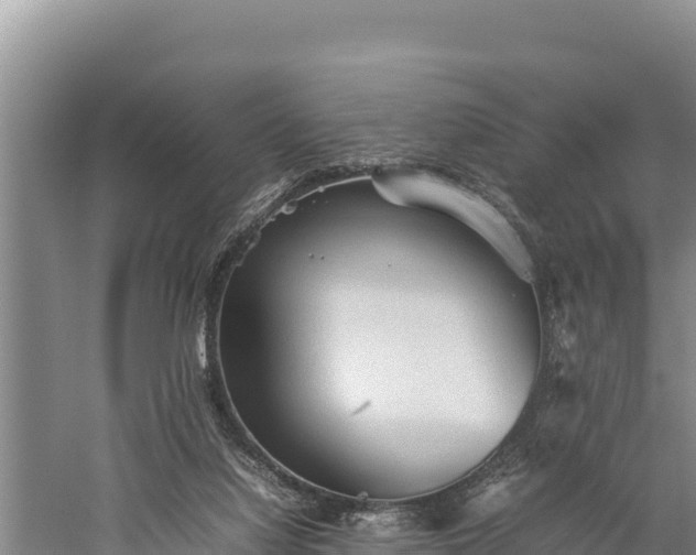 X0000059230068200510211547