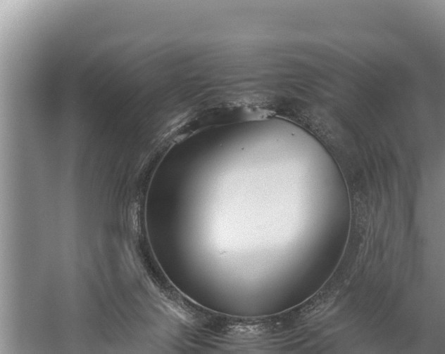 X0000059230071200510211547