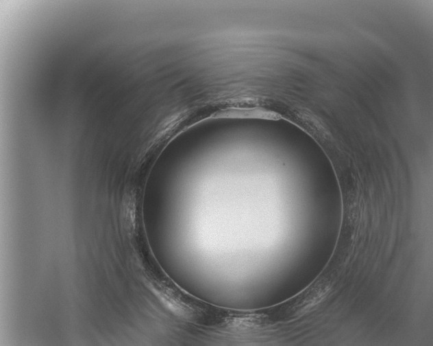 X0000059230072200510211547