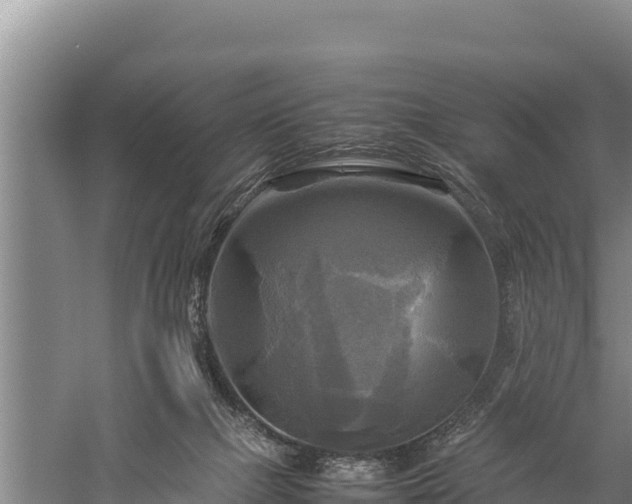 X0000059230073200510211547