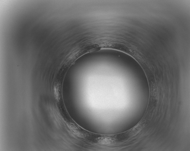 X0000059230074200510211547