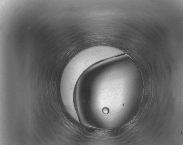 X0000059230078200510211547