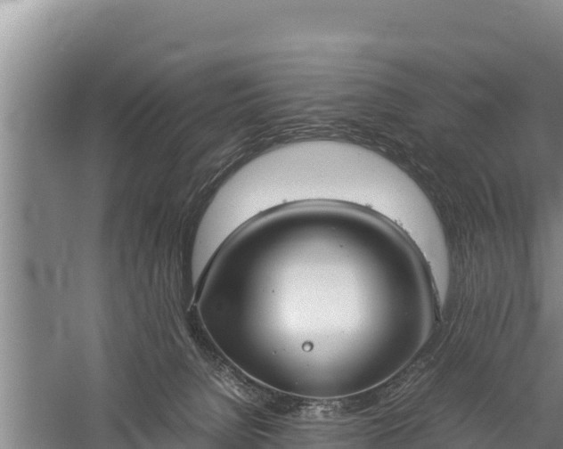 X0000059230080200510211547