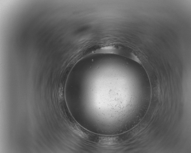 X0000059230081200510211547