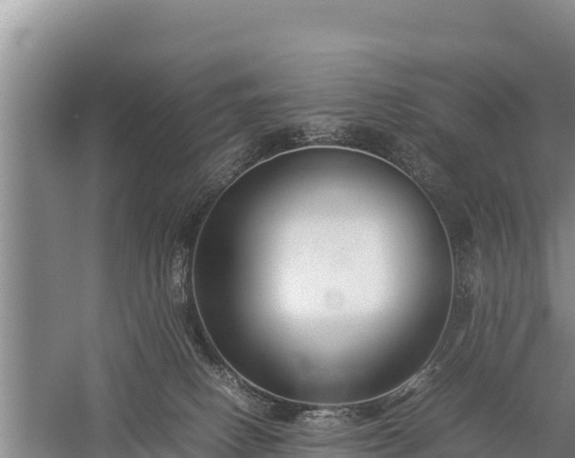 X0000059230082200510211547