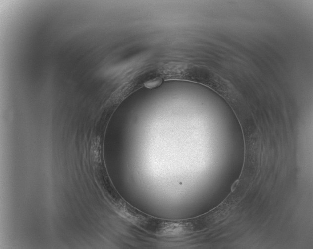 X0000059230083200510211547