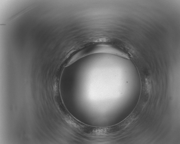 X0000059230084200510211547