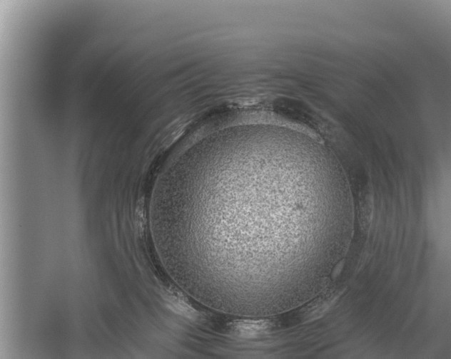 X0000059230085200510211547