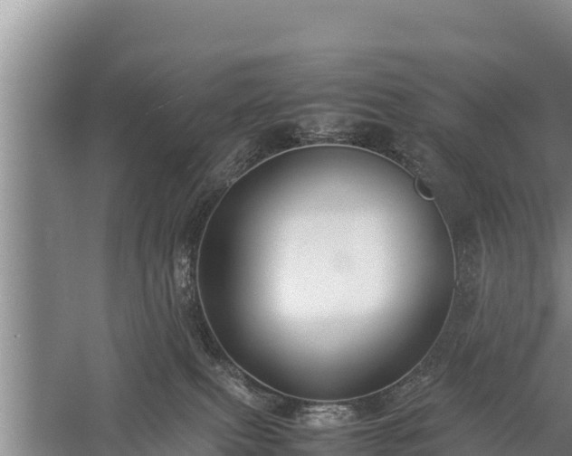 X0000059230087200510211547