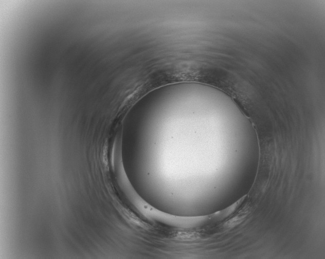 X0000059230088200510211547