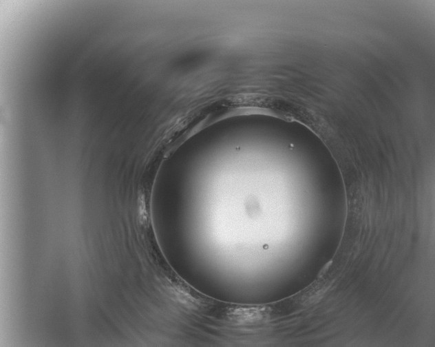 X0000059230089200510211547