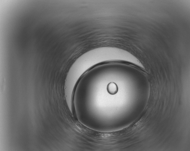 X0000059230091200510211547