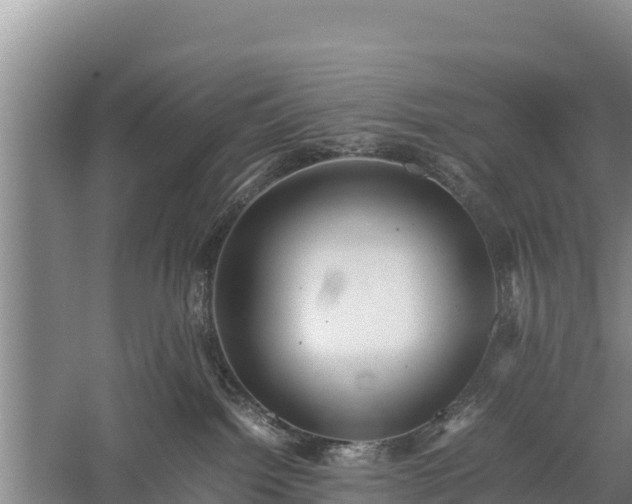 X0000059230092200510211547