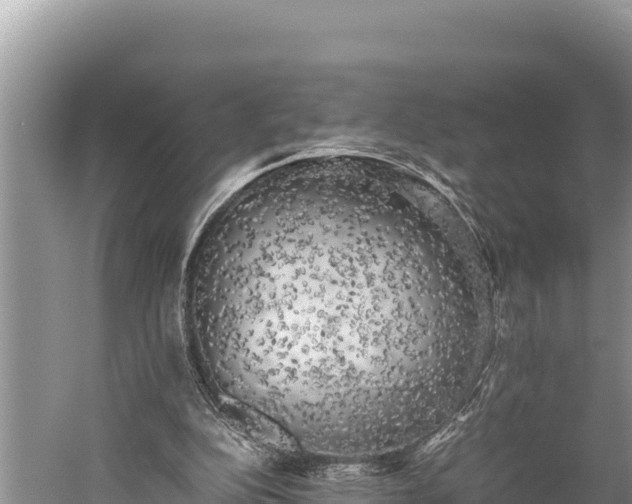 X0000059230152200510211545