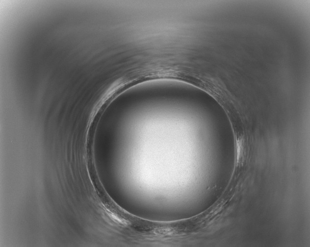 X0000059230195200510211545