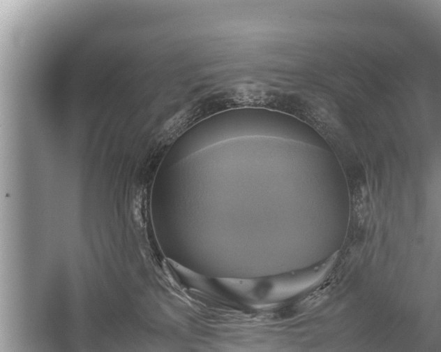X0000059230233200510211544