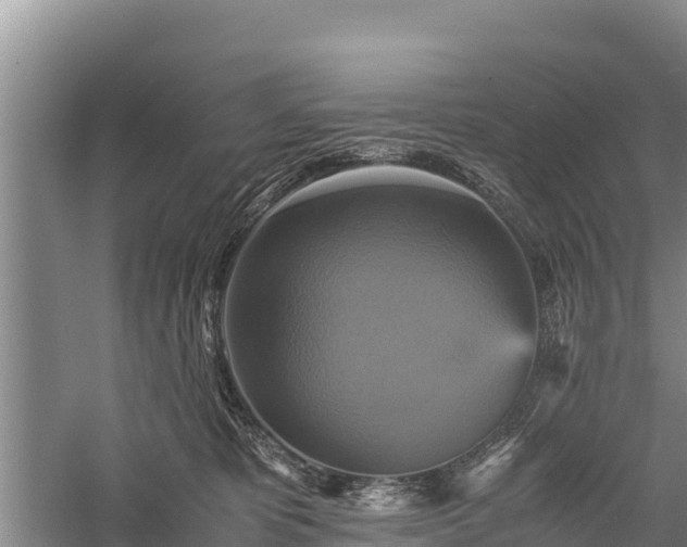 X0000059230325200510211543