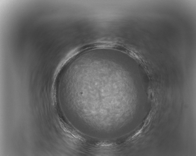 X0000059230343200510211542