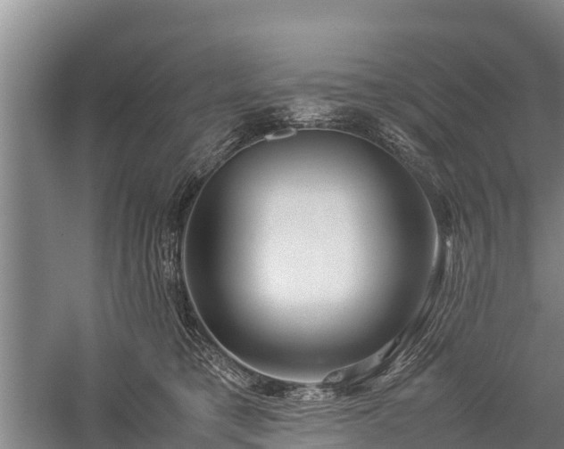 X0000059230421200510211541
