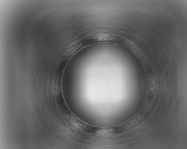X0000059230422200510211541