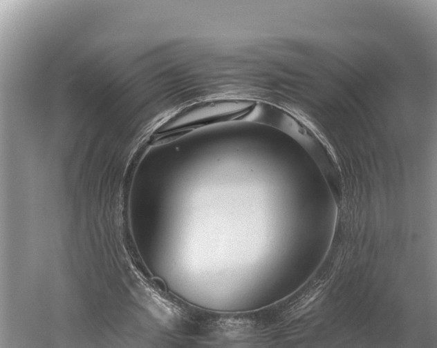 X0000059230437200510211540